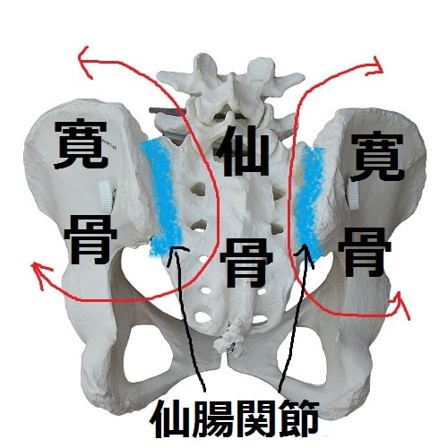 骨盤矯正の解説