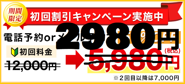 初回割引キャンペーン実施中 12000円が2980円になります